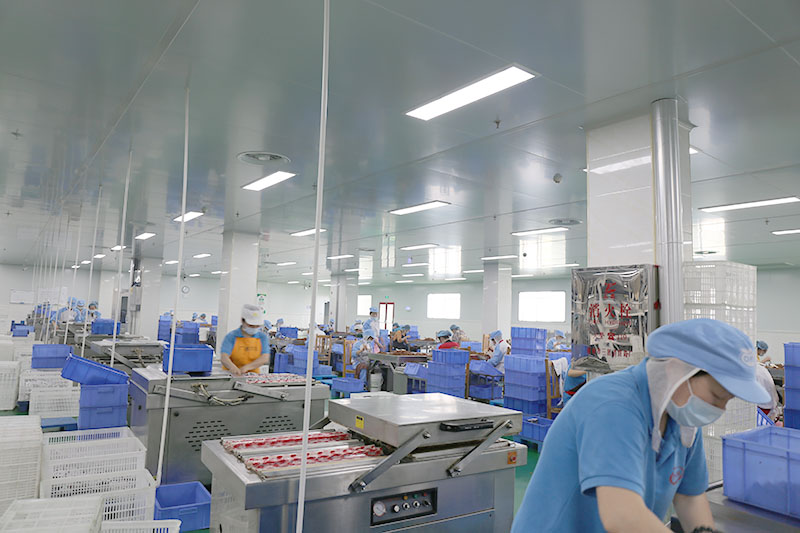 草莓视频色版在线观看風采